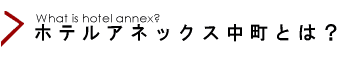 �z�e���A�l�b�N�X�����Ƃ́H